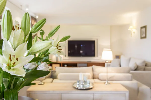 Prostorný obývací pokoj s květinami — Stock fotografie