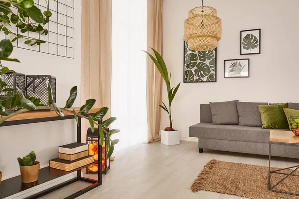 Acogedora casa con plantas de interior decorativas — Foto de Stock