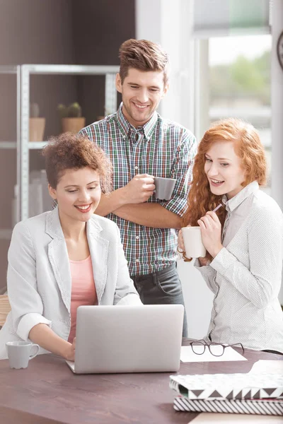 Creative business workers using laptop — Stock Photo, Image