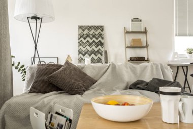 Salonda uyuyan kanepe