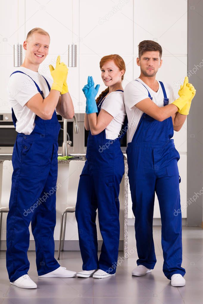 Team of professional cleaners