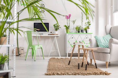 Bilgisayar ile Naturelover çalışma alanı