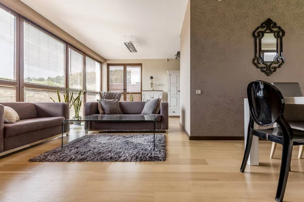 Kahverengi oturma odası kanepeler — Stok fotoğraf
