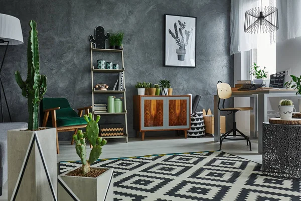 Wohnung mit dekorativem Kaktus — Stockfoto