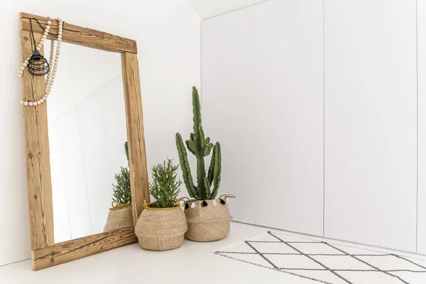 Místnost se zrcadlem a kaktus — Stock fotografie