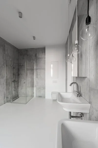 Big modern grey bathroom — Stock Photo, Image