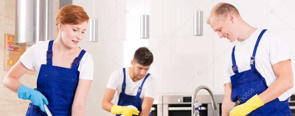 Team of cleaners