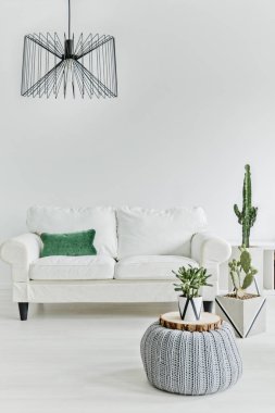 Minimalist oturma odası