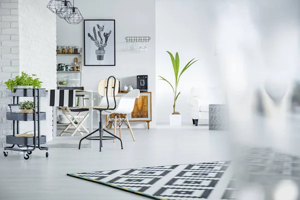 Wohnzimmer mit Pflanzen — Stockfoto