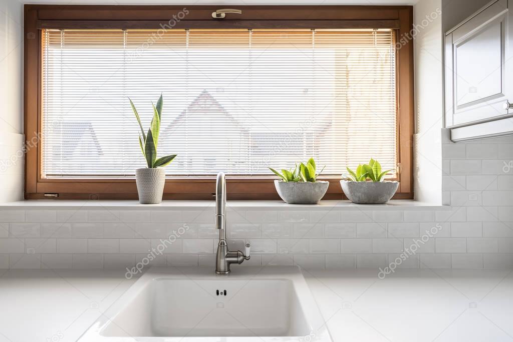 Kitchen with sink and window