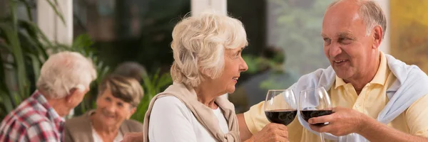 高齢者カップル乾杯ワイン — ストック写真