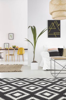 Halı ile beyaz ev iç