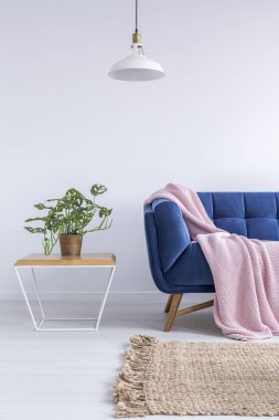 Mavi kanepe güzel Oda