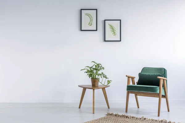 Белый интерьер с капустой зеленый стул — стоковое фото