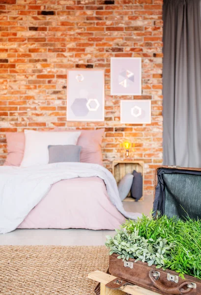 Kamar tidur dengan pot bunga koper — Stok Foto
