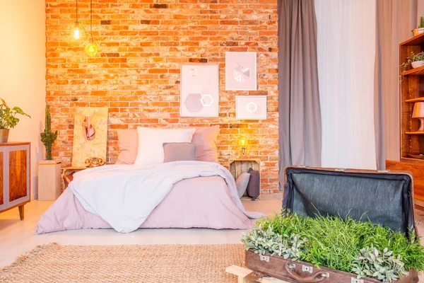 Kamar tidur dengan tanaman dekoratif — Stok Foto