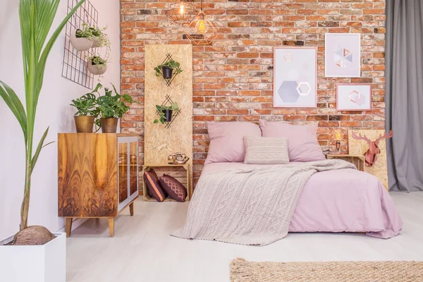 Спальня с зелеными декоративными растениями — стоковое фото
