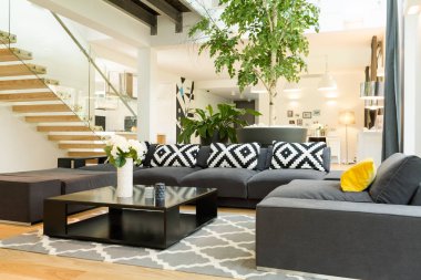 Rahat oturma odası, koltuk takımı