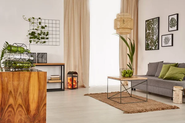 Living room with comfortable sofa — Stock Photo, Image