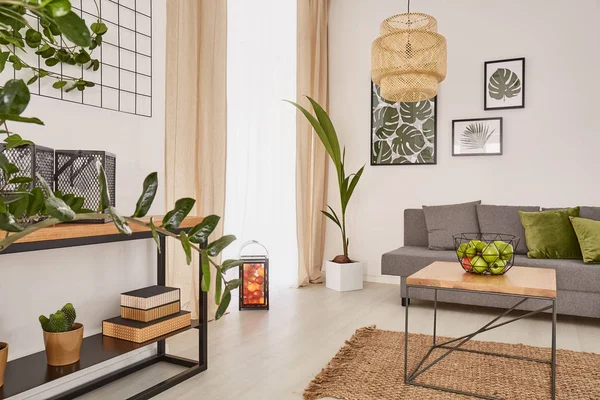 Habitación interior con plantas — Foto de Stock