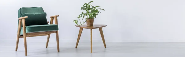 Cadeira e banquinho com planta — Fotografia de Stock