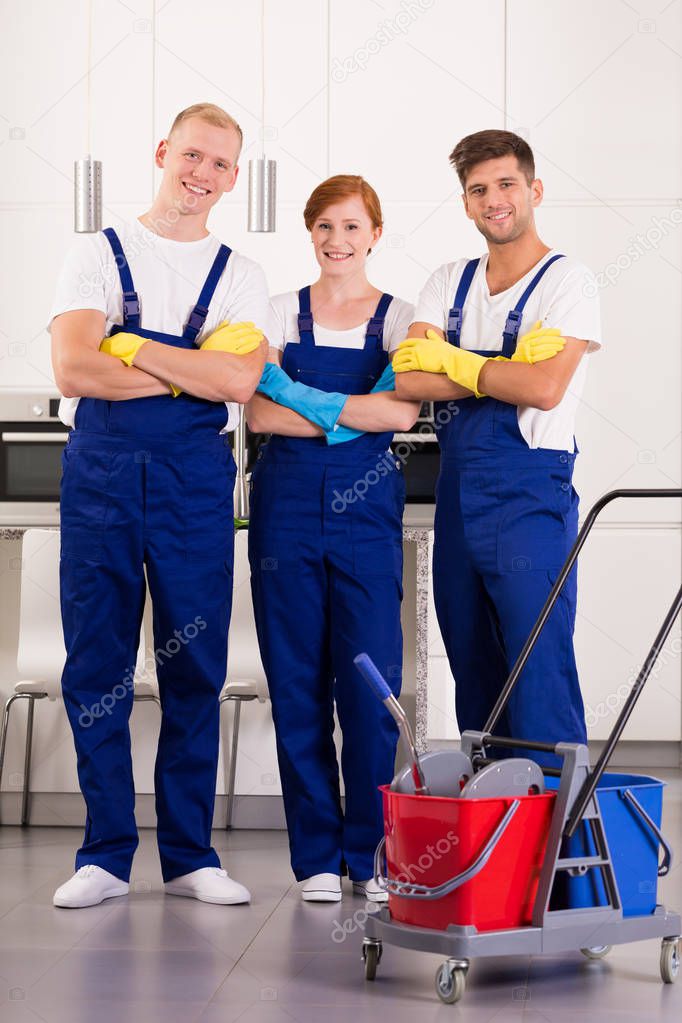 Team of professional cleaners