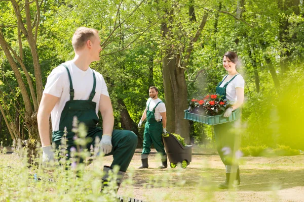 Садовники сажают цветы в парке — стоковое фото