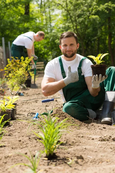 Gärtner mit einer Pflanze in der Hand — Stockfoto