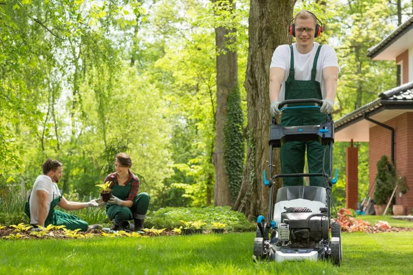 Giardiniere falciare l'erba — Foto Stock