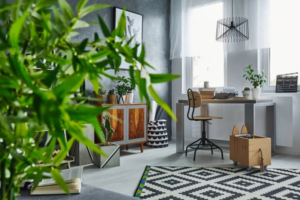 Studio flat with plants