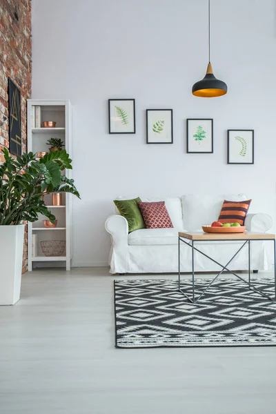 Ruang tamu putih dengan karpet — Stok Foto