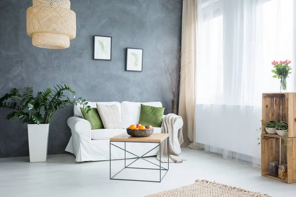Grijs woonkamer met sofa — Stockfoto