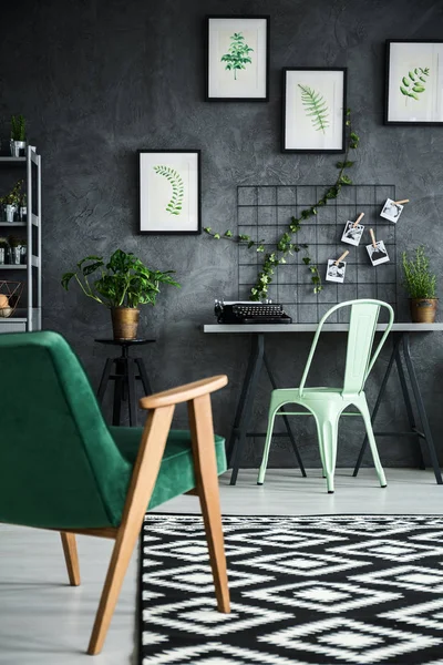 Studio appartement met planten — Stockfoto