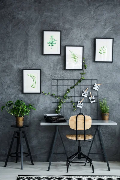 Appartamento decorato con piante — Foto Stock