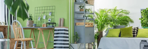 Grüne Wand im Zimmer — Stockfoto