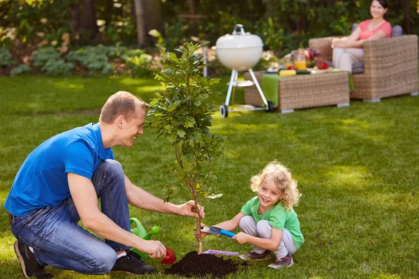 Vater und Sohn pflanzen Baum — Stockfoto