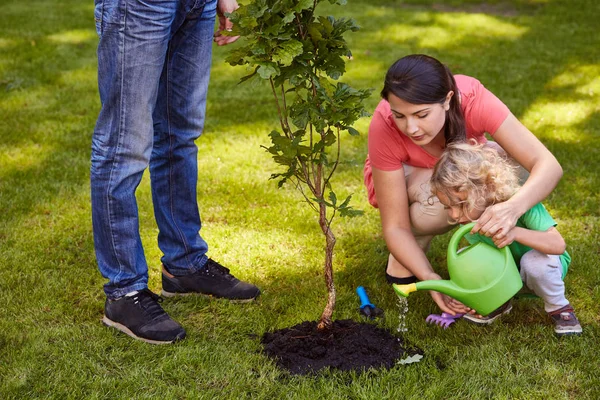 Árbol de riego madre e hijo —  Fotos de Stock