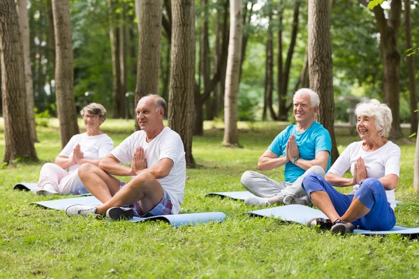 Seniors working out in a park — Stock Photo, Image
