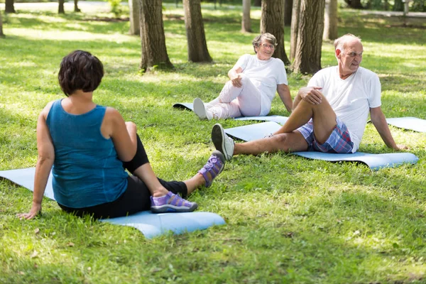 Happy seniors working out in a park — Stock Photo, Image