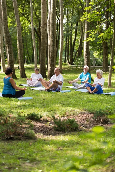 Üst düzey insanların Yoga bir parkta