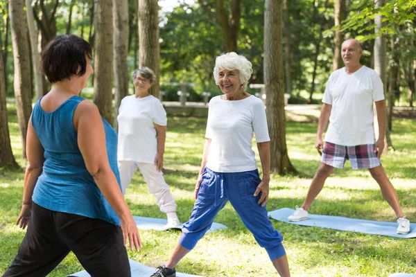 Entrenador haciendo ejercicio con personas mayores al aire libre — Foto de Stock