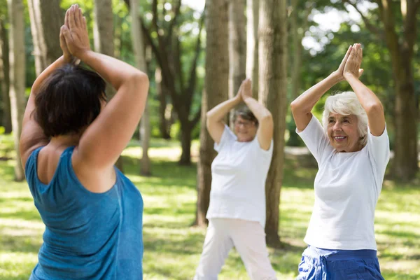 Kvinnor gör yoga i en park — Stockfoto