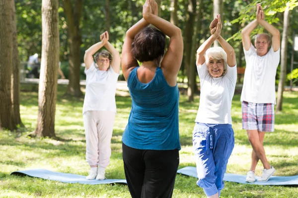 Ler seniorer att ha en yoga klass utomhus — Stockfoto