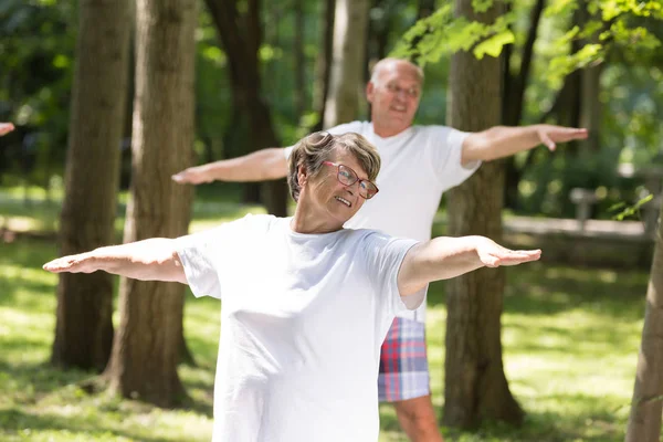 Happy elderly people doing exercises outdoors — Stock Photo, Image