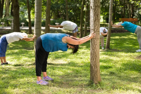 Mayores que se extienden en un parque — Foto de Stock