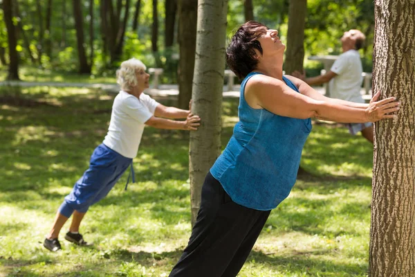 Seniors having training in a park — Stock Photo, Image
