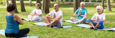 Yaşlı insanlar açık yoga sırasında
