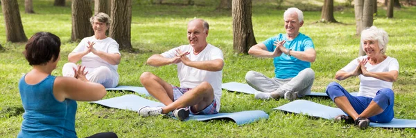 Elder people on yoga class in the park — Stock Photo, Image