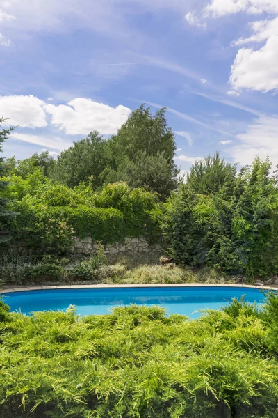 Piscina patio trasero — Foto de Stock