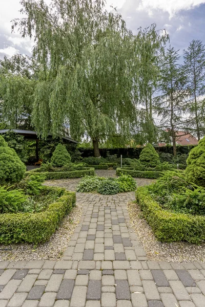 Regeling van de symmetrische plant in de tuin — Stockfoto